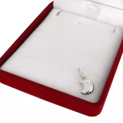 Dije De Planeador En Plata De Primera Ley .925 X 1 Dije De Planeadores Y Aviones